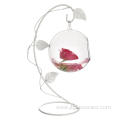 Hanging Glass Apple Shape Orb for all green plants